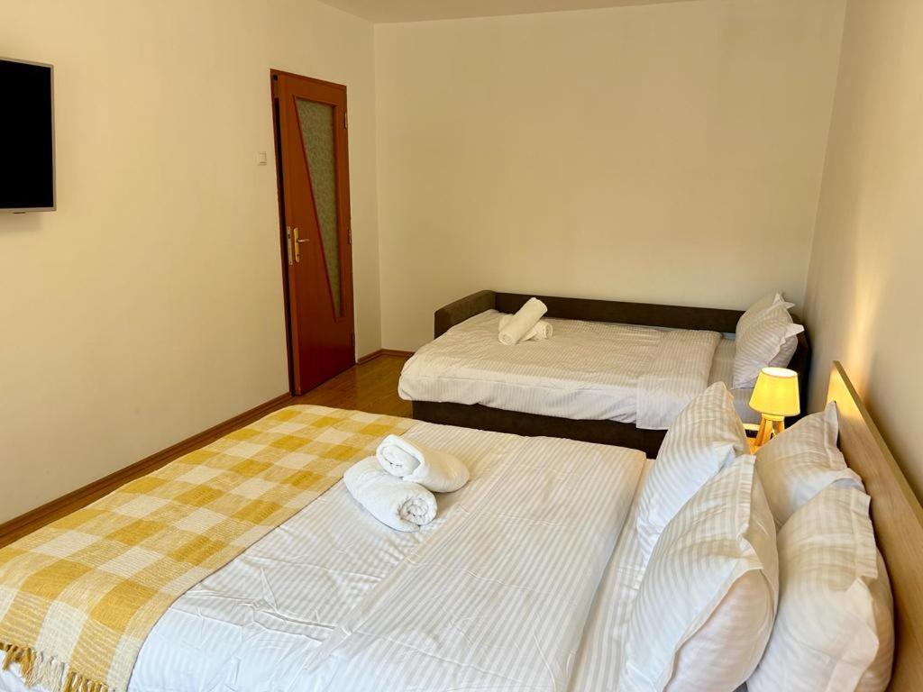 Jad - Family - Apartments - Zorilor Brasov Luaran gambar